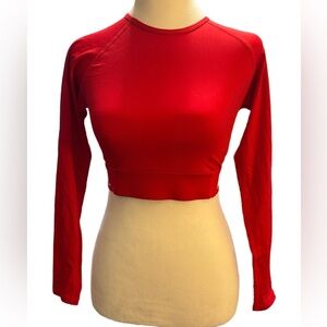 AYBL Cropped Long Sleeve Mesh Panel Top Small Red NWOT